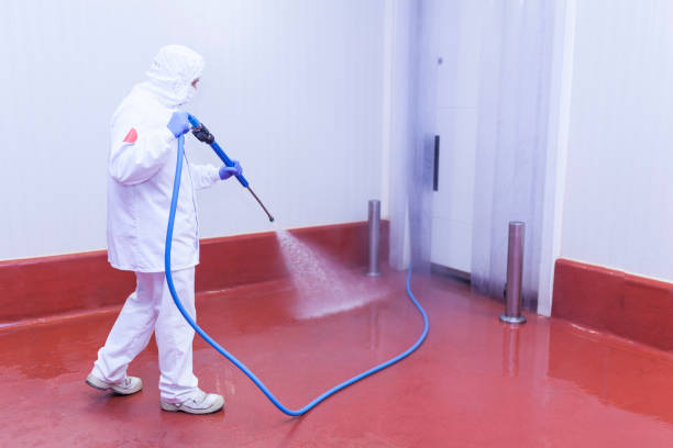 Professional  Pressure Washing Services in Collinsville, MS